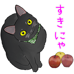 black cats with apples