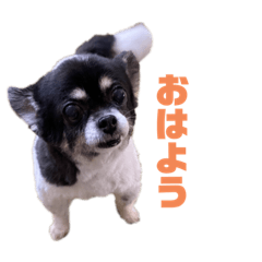 Akari_20220524153136