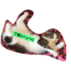 poco poco stamp