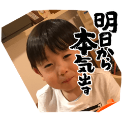 shin335