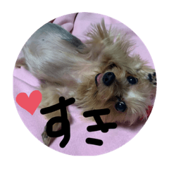 arisa_20220524205024