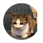 chuchu_20220524215235