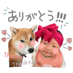 aoi_20220524173449