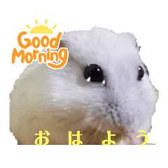 Tono_20220524181216