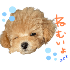 yun_20220524204401