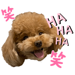 arisa_20220524224526