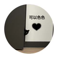 三隻貓貓（1）