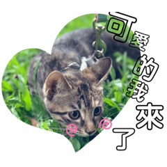 可愛的我來了_01