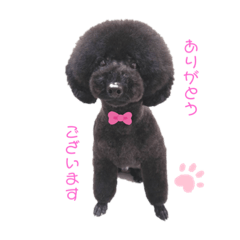 yuka_20220525014355