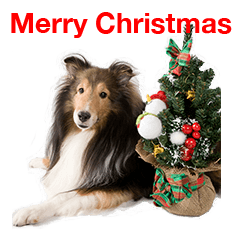 Happy-dog-year Cute Dog Stickers