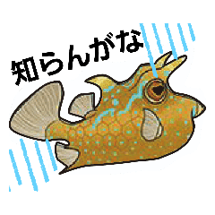 ふぐたんとまりものこ Lineクリエイターズスタンプ Stamplist