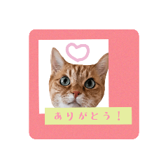 wakana._20220524205321