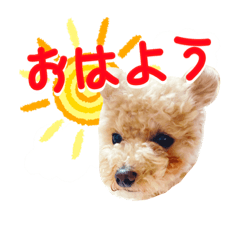 kazuki_20220525105627