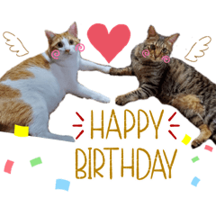 matsu_20220524235550