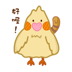 玄鳳鸚鵡啾啾—日常篇.