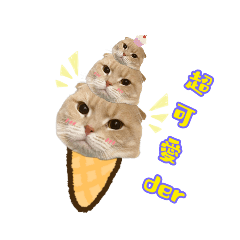 徐小橘❤️