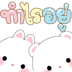 หมีคูล&ต่ายคิวท์ตี้ ป๊อปอัพ