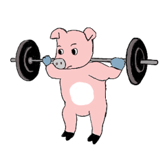 The Diligent Pigs - In the Gym