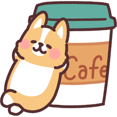 fluffy fat Corgi Cafe