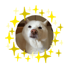 アニョウの日常