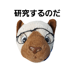 nekoyamasan_20220525103613