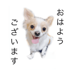 Namichandesu_20220525155920