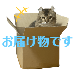 TARU1213