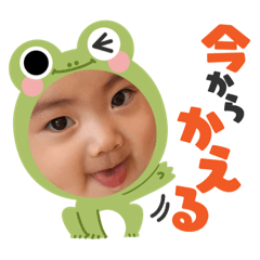 akari_20220525174018