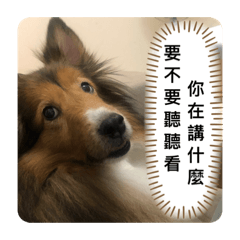 安安ㄢㄢ安安ㄢㄢ安ㄢ安ㄢ