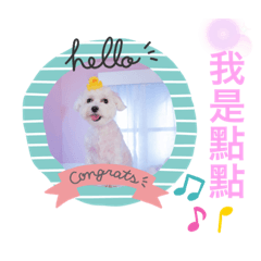 我是媽咪最喜愛的點點