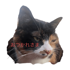 yuka_20220525222752