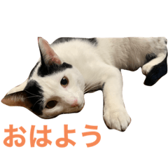 aoi_20220525180801