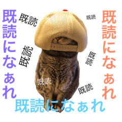 Tora diary2