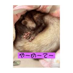 shiho_20220525195700