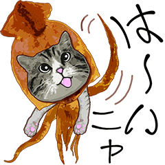 Dried cuttlefish cat.