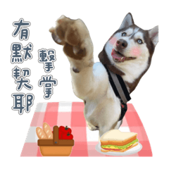 BrandNew  2歲半前的成長日記