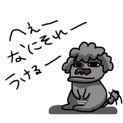my pet is Kawaii dog