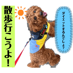 kaori_20220526101611