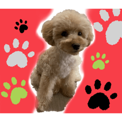 t-ace _20220526124428