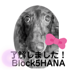 HANA_20220526092530
