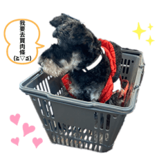 三毛十二腳(*≧ω≦)