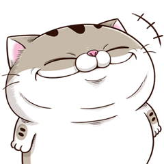 fat cat Ami 12