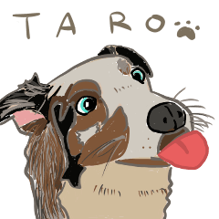 Taro and Tempura Cats