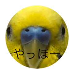 tori_20220526170759