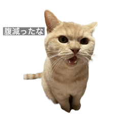 rEi_20220526212529