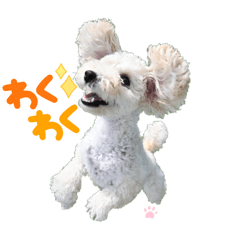 yuto_20220526224516