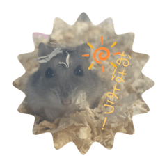 mizuki_20220526191444