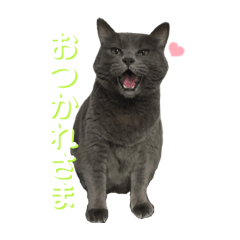 Aoi_20220526231016