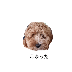hugok