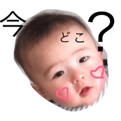 SHUTAsan2